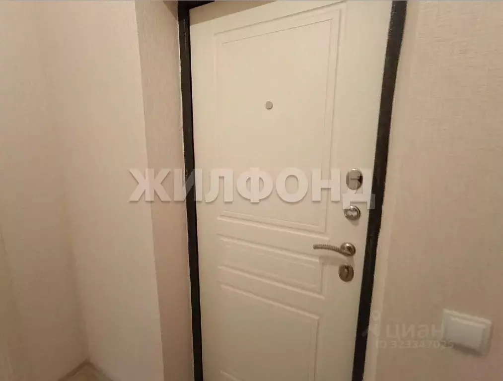 1-к кв. Новосибирская область, Новосибирск ул. Бородина, 56 (24.3 м) - Фото 1