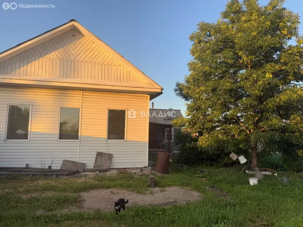 Дом в Свободный, Михайло-Чесноковская улица, 60 (54.1 м) - Фото 1