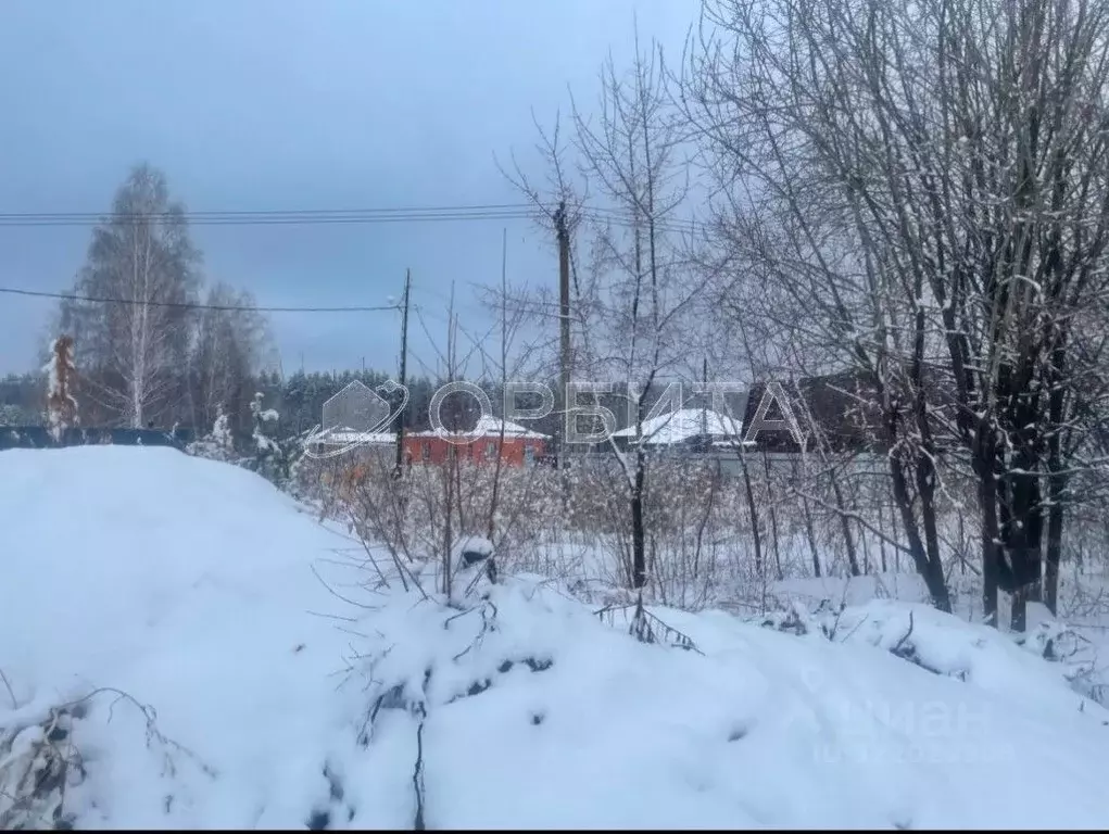 Участок в Тюменская область, Тюменский муниципальный округ, с. ... - Фото 1