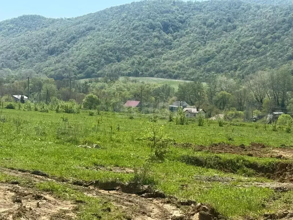 Участок в Краснодарский край, Геленджик городской округ, с. Береговое  ... - Фото 2