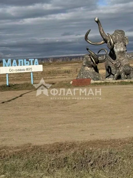 Участок в Иркутская область, Усольский район, Белореченское городское ... - Фото 0