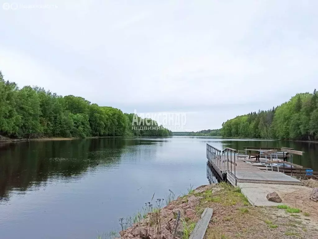 Участок в Выборгский район, Селезнёвское сельское поселение, посёлок ... - Фото 0