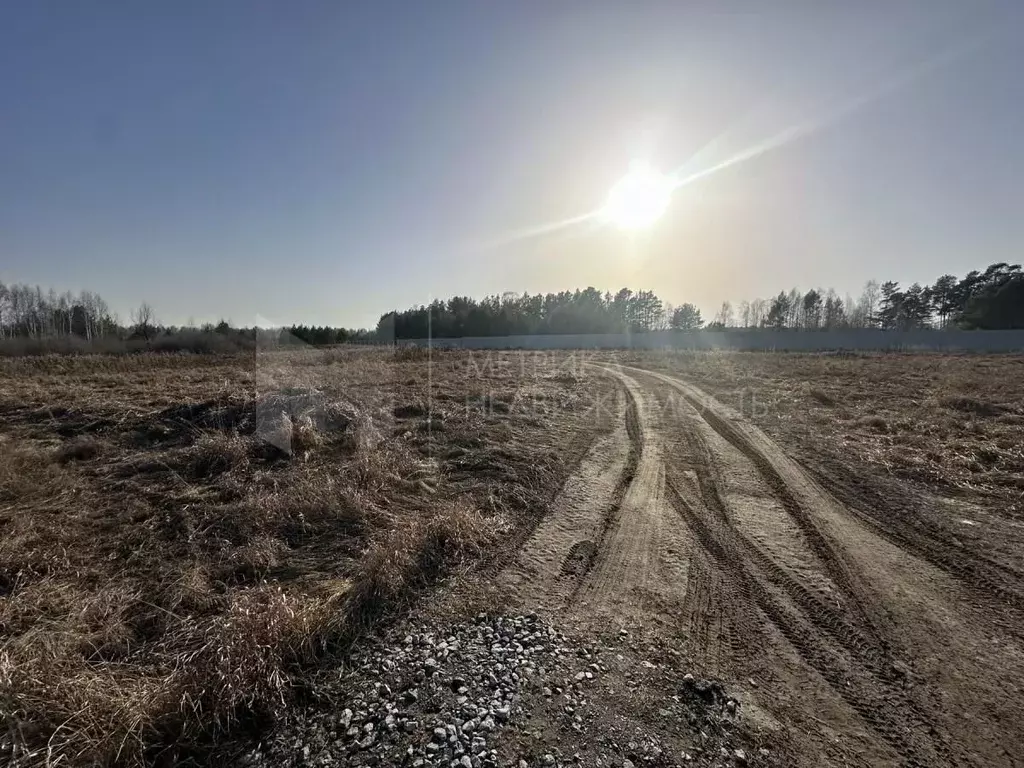 Участок в Тюменская область, Нижнетавдинский район, Березка СНТ  (10.0 ... - Фото 1