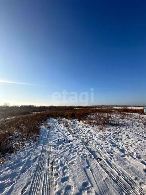Участок в Амурская область, Благовещенский район, с. Чигири  (9.0 ... - Фото 0