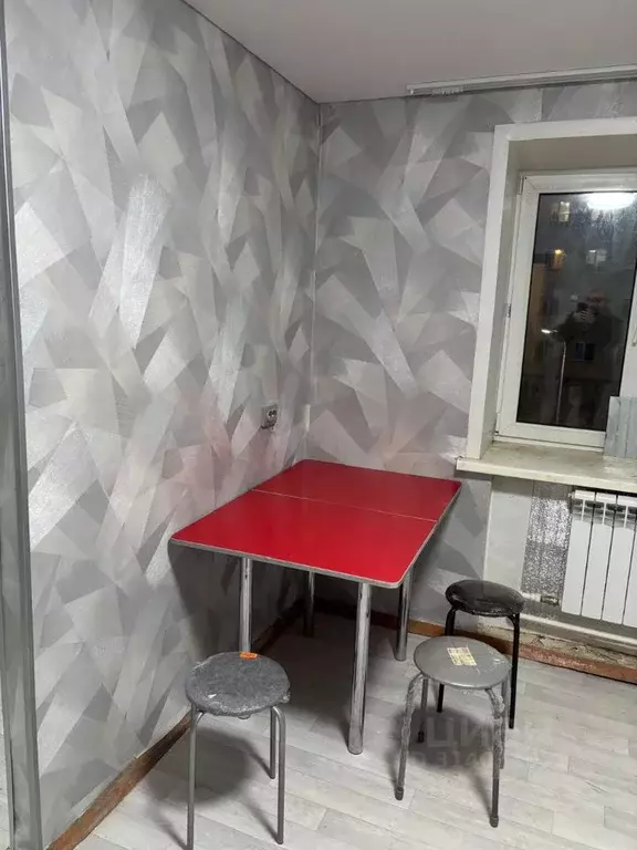 2-к кв. Татарстан, Зеленодольск Паратская ул., 4/2 (26.0 м) - Фото 0