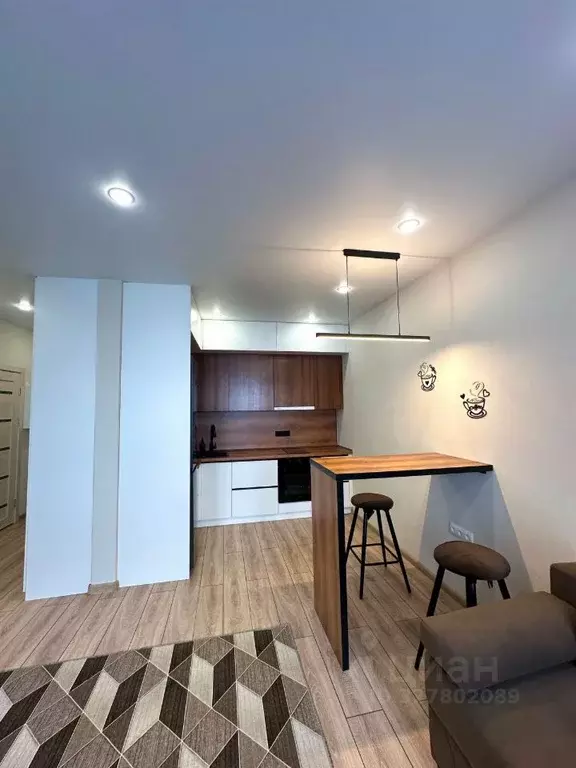 Студия Омская область, Омск ул. Герцена, 99 (30.0 м) - Фото 2