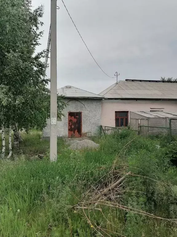 Помещение свободного назначения в Кемеровская область, Белово ул. ... - Фото 1