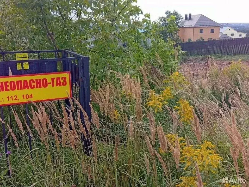 Участок в Московская область, Дмитровский муниципальный округ, д. ... - Фото 1