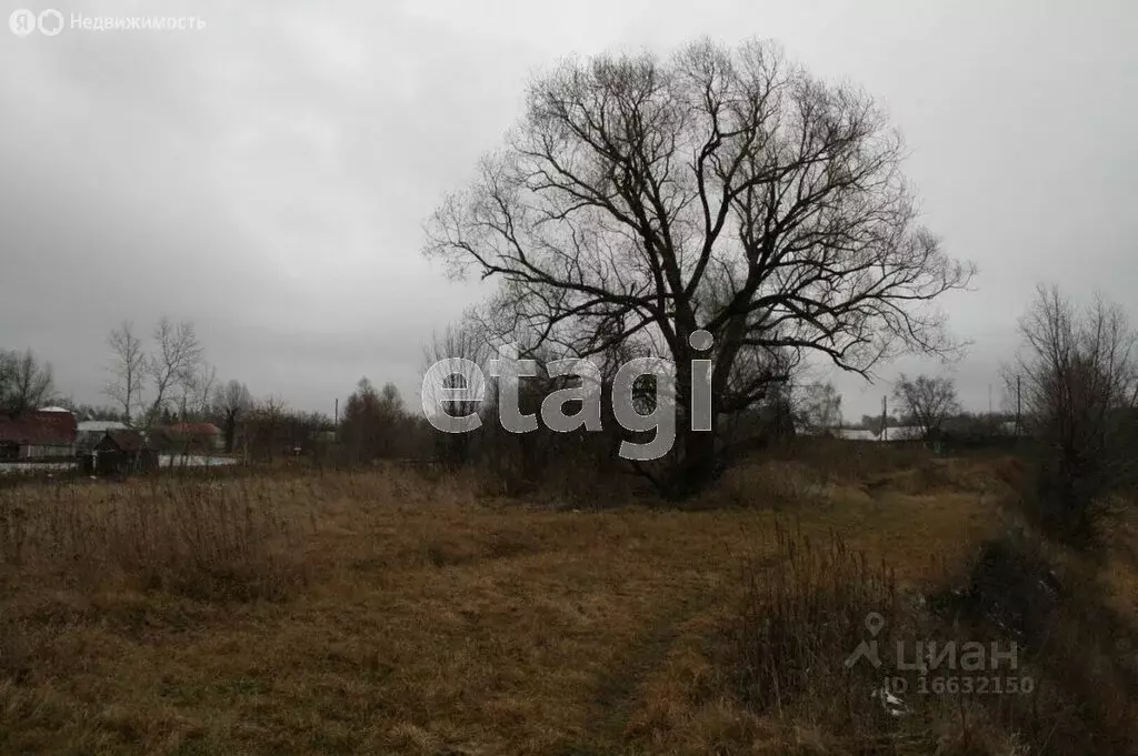 Участок в село Вадинск, улица Большая Закеренка (19 м) - Фото 0