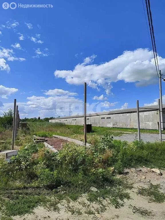 Склад (570 м) - Фото 1