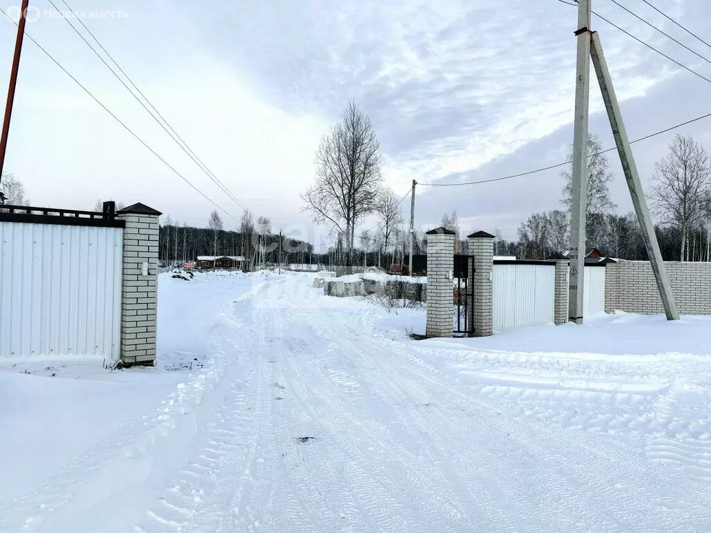 Участок в Станционный сельсовет, ТСН Облепиха (10 м) - Фото 1