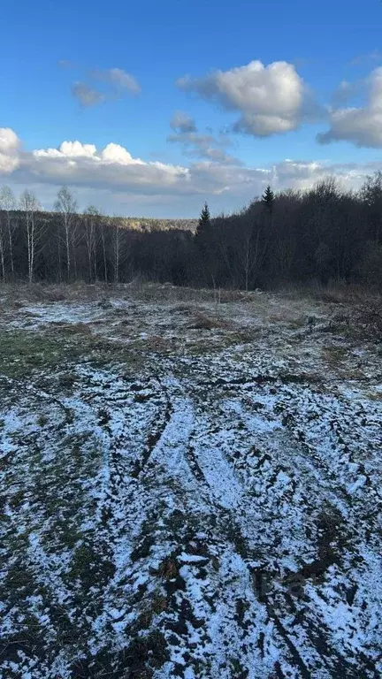 Участок в Московская область, Ступино городской округ, д. Теняково ул. ... - Фото 0