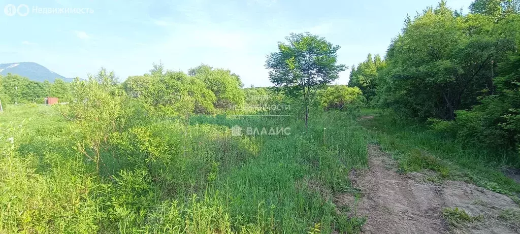 Участок в Арсеньев, Тихоокеанская улица, 45 (12 м) - Фото 1