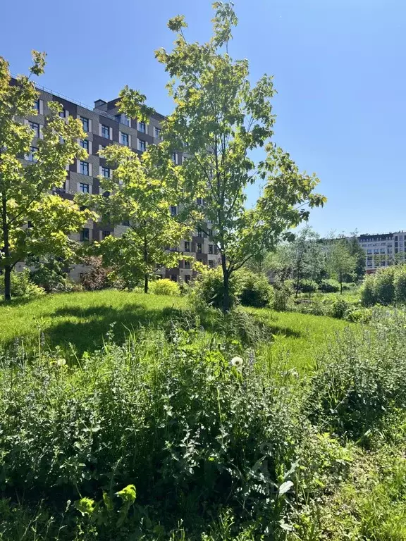 1-к кв. Санкт-Петербург Петровский просп., 9к2 (43.2 м) - Фото 1