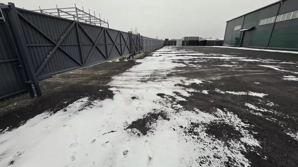 Склад в Московская область, Богородский городской округ, с. Богослово  ... - Фото 2