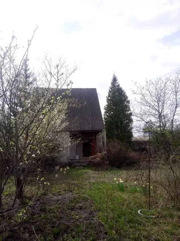 Дом в Ериковское сельское поселение (40 м) - Фото 0
