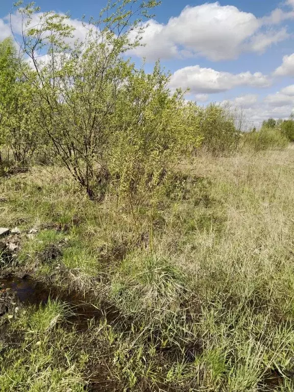 Участок в Московская область, Орехово-Зуевский городской округ, д. ... - Фото 0
