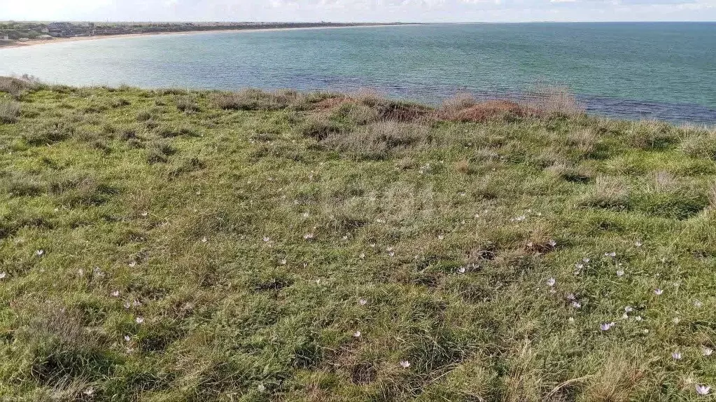 Участок в Крым, Ленинский район, Семисотское с/пос, с. Каменское ул. ... - Фото 1