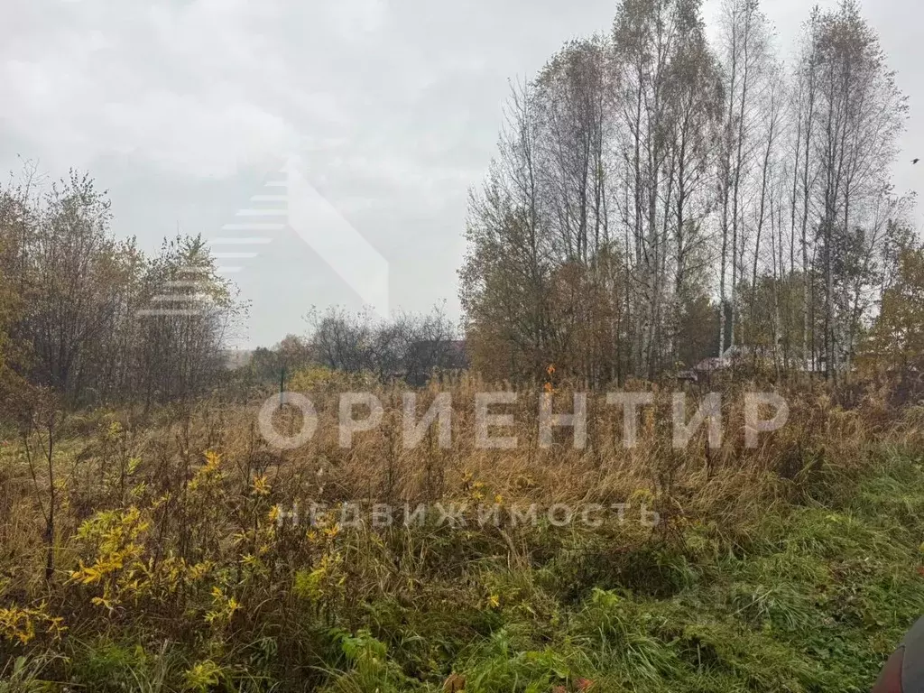 Участок в Московская область, Талдомский городской округ, д. Малое ... - Фото 2