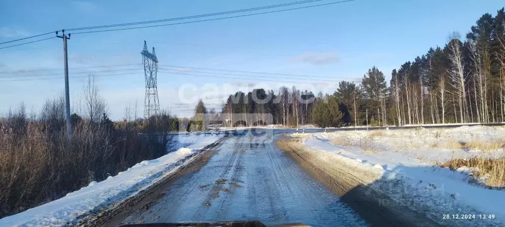 Участок в Свердловская область, Слободо-Туринский район, ... - Фото 1