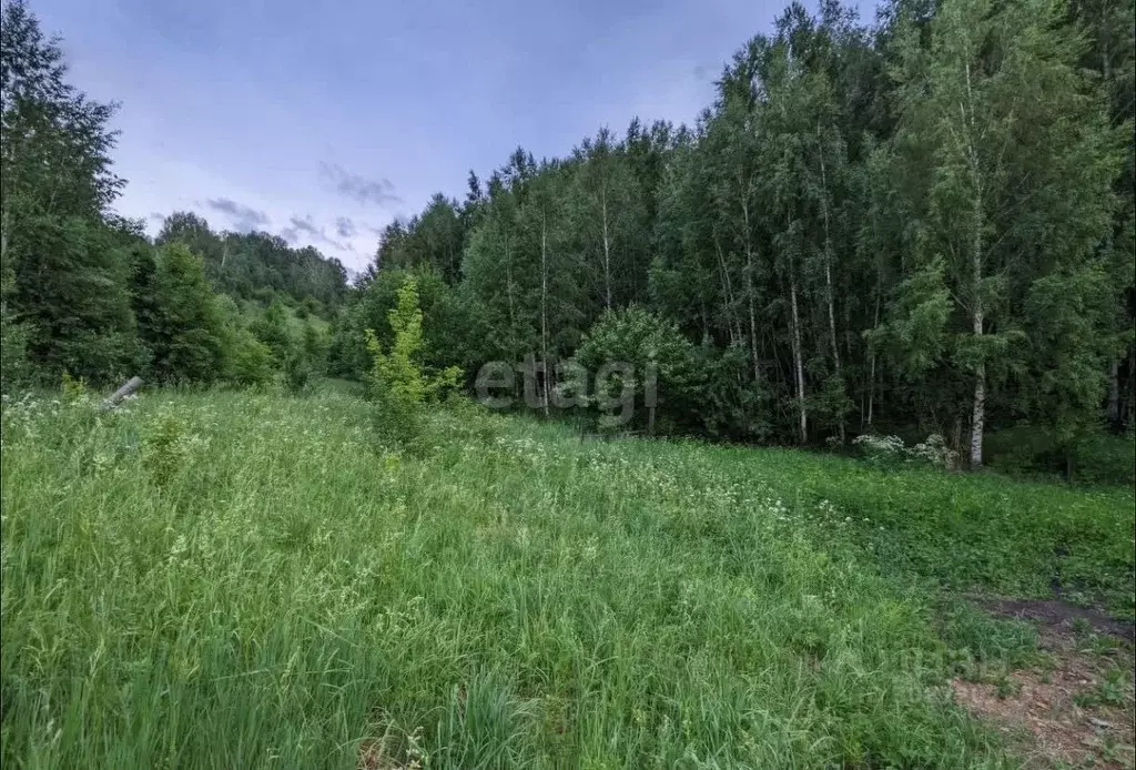 Участок в Алтай, Горно-Алтайск Солнечная ул. (8.0 сот.) - Фото 1