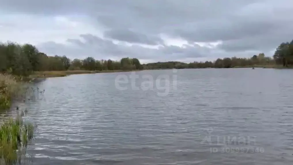 Участок в Брянская область, Навлинский район, Алтухово рп  (400.0 ... - Фото 1
