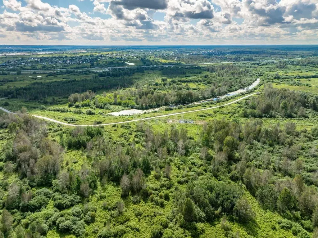 Участок в Новосибирская область, Коченевский район, Лесник СНТ ул. ... - Фото 1