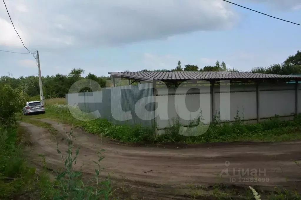 Воронеж айдарово. Погода в айдарово воронежская область. Погода в айдарово воронежская область. Пруд в айдарово. Рамонь снт ивушка.