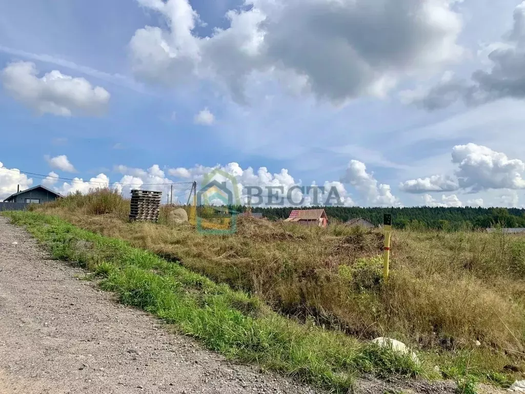 Участок в Ленинградская область, Приозерский район, Красноозерное ... - Фото 1