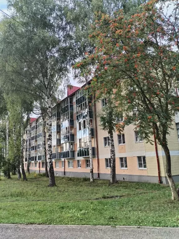 1-к кв. Мордовия, Саранск ул. Марины Расковой, 32 (30.0 м) - Фото 2