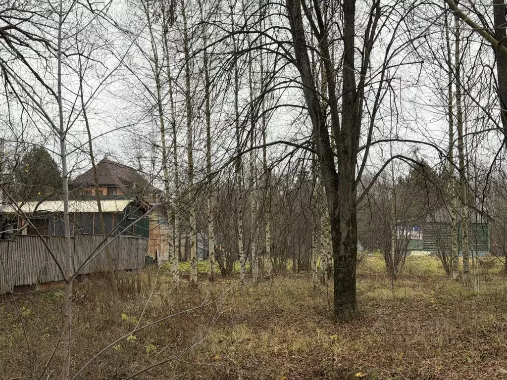 Участок в Москва д. Прокшино, 27 (6.0 сот.) - Фото 1