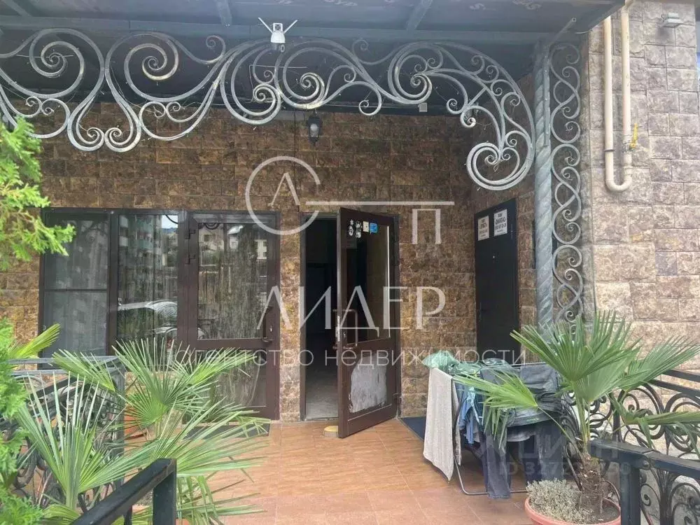 1-к кв. Краснодарский край, Сочи ул. Тимирязева, 46/2 (22.4 м) - Фото 2