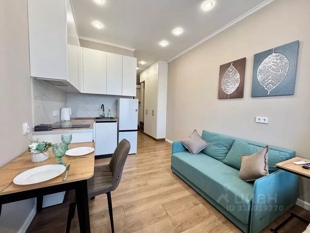 Студия Крым, Ялта ул. Киевская, 44 (26.0 м) - Фото 0