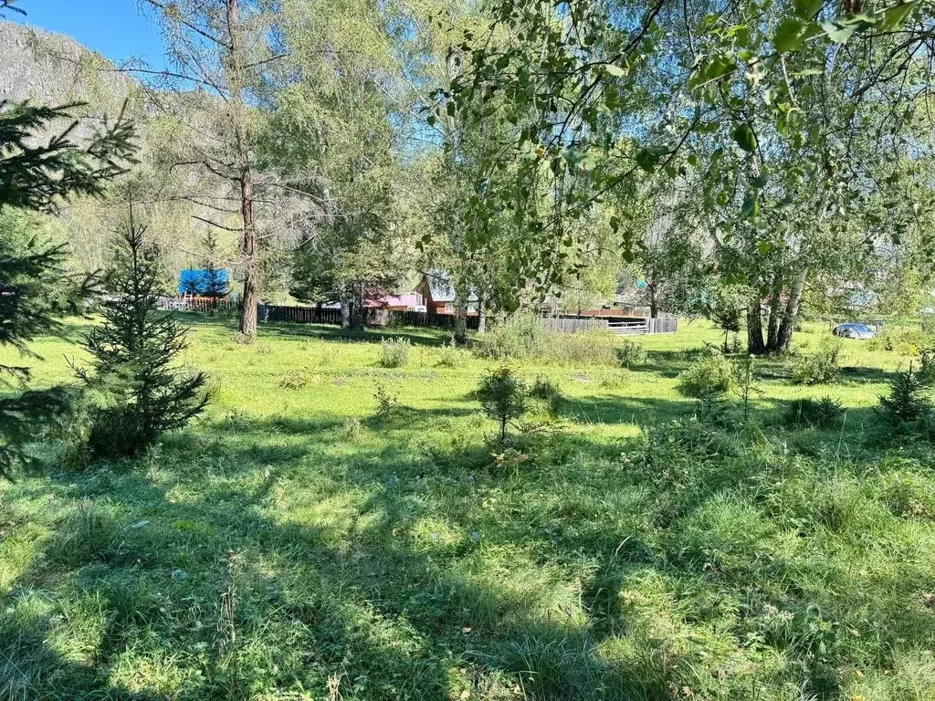 Участок в Алтай, с. Онгудай ул. Юбилейная, 83Б (13.5 сот.) - Фото 1