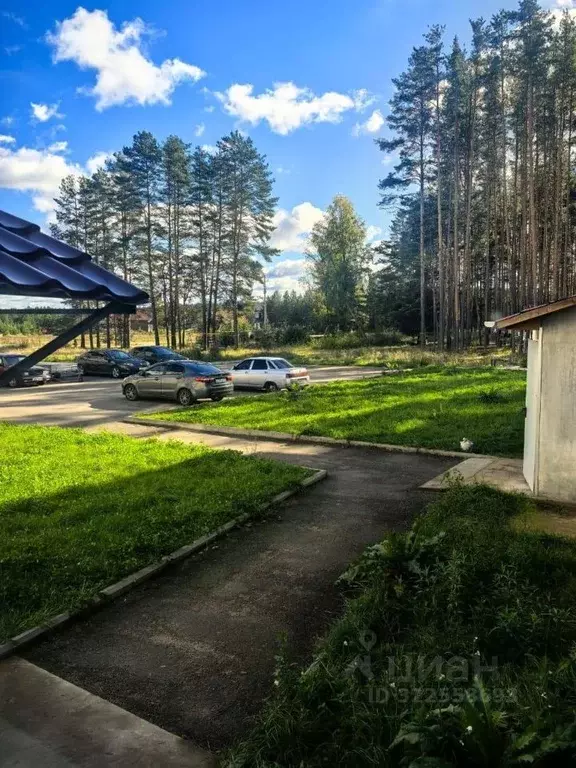 1-к кв. Новгородская область, Хвойная рп ул. Физкультурная, 34А (28.8 ... - Фото 2