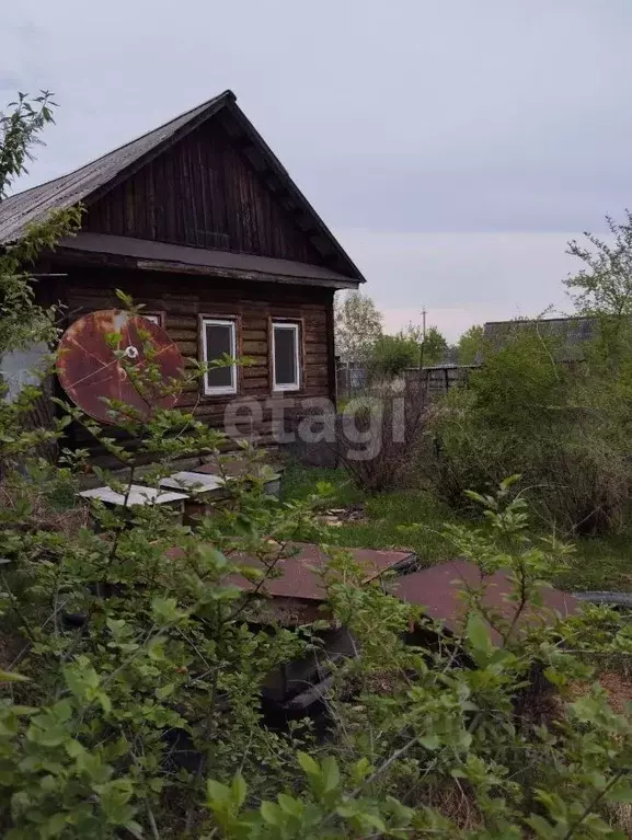 Участок в Амурская область, Благовещенский район, с. Игнатьево ... - Фото 0
