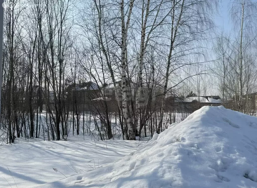 Участок в Московская область, Раменский муниципальный округ, КП ... - Фото 2