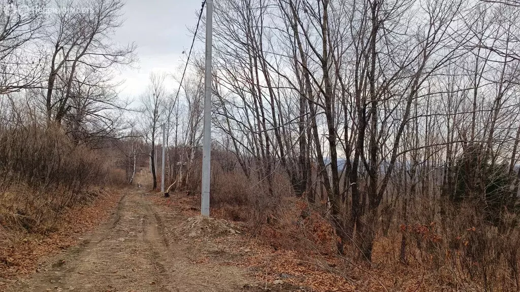 Участок в Артём, СТ Глобус-1 (10 м) - Фото 0