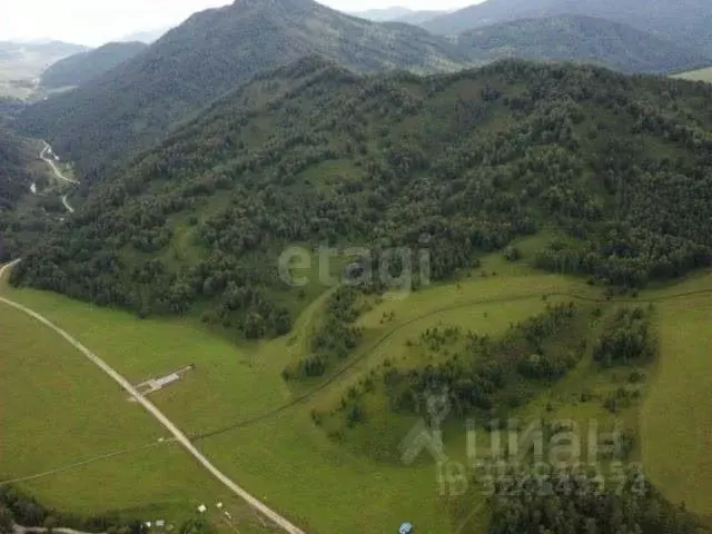 Участок в Алтай, Усть-Канский район, с. Ябоган  (6742.0 сот.) - Фото 2