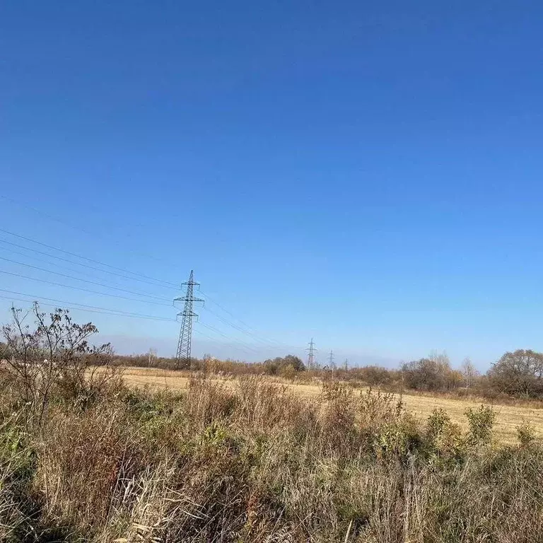 Участок в Хабаровский край, Хабаровск  (590.0 сот.) - Фото 2