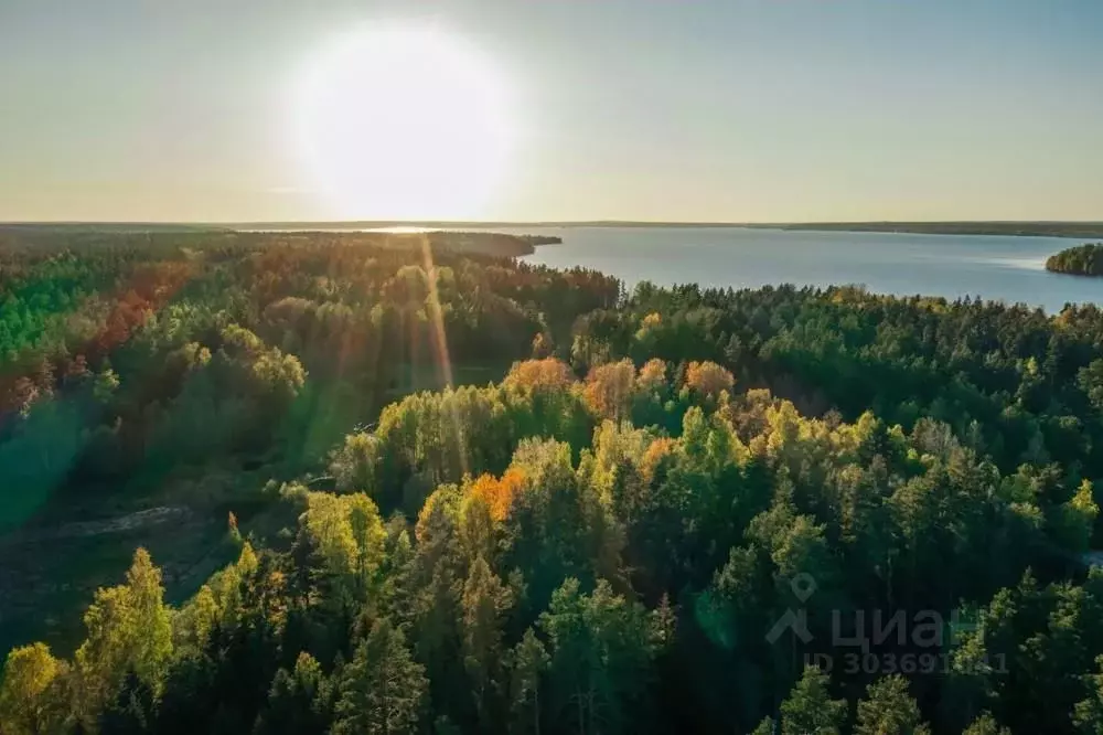 Участок в Ленинградская область, Приозерский район, Громовское с/пос, ... - Фото 1