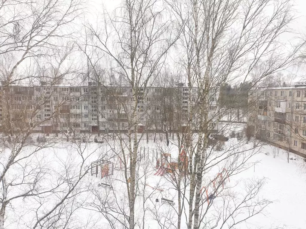 2-к кв. Ленинградская область, Гатчина Исторический район Хохлово ... - Фото 2