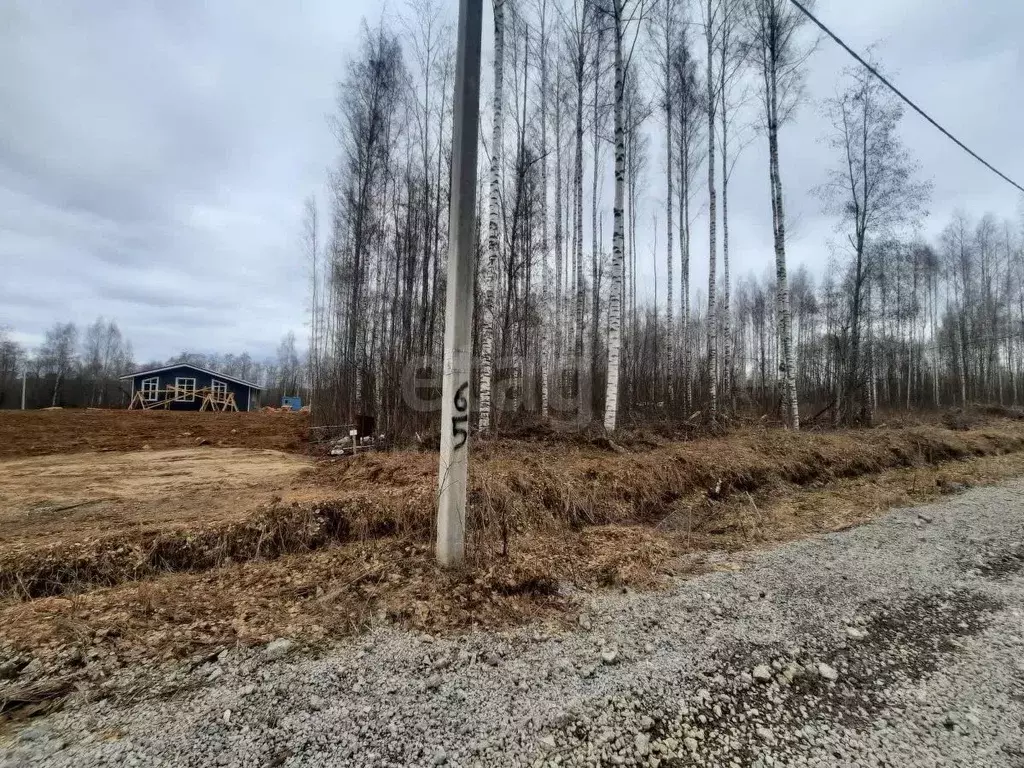 Участок в Вологодская область, Череповец ул. Кружевная (8.0 сот.) - Фото 1