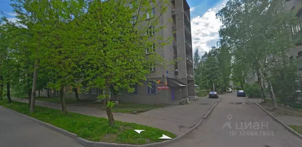 Помещение свободного назначения в Псковская область, Великие Луки ул. ... - Фото 1