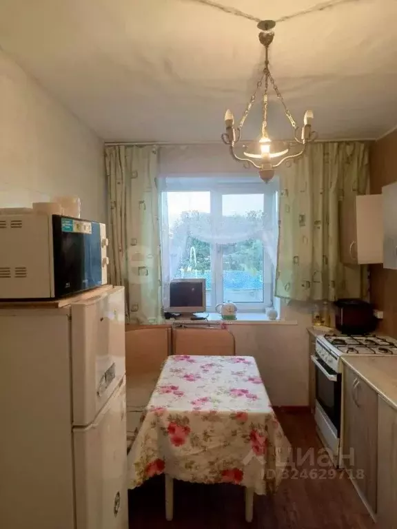 3-к кв. Амурская область, с. Ивановка пер. Заречный, 6 (61.6 м) - Фото 2