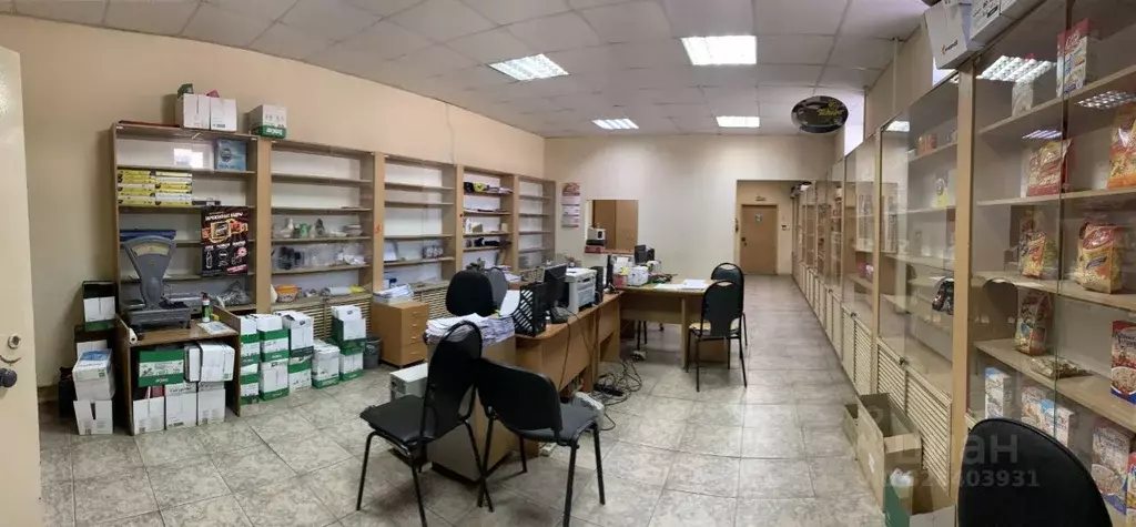 Помещение свободного назначения в Кировская область, Киров ул. Романа ... - Фото 1