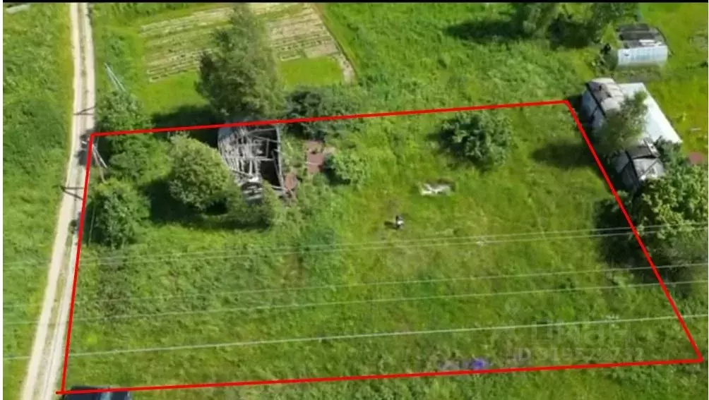 Участок в Ленинградская область, Кировский район, Мгинское городское ... - Фото 1