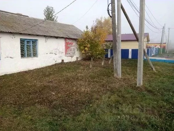 Помещение свободного назначения в Омская область, Шербакульский район, ... - Фото 0