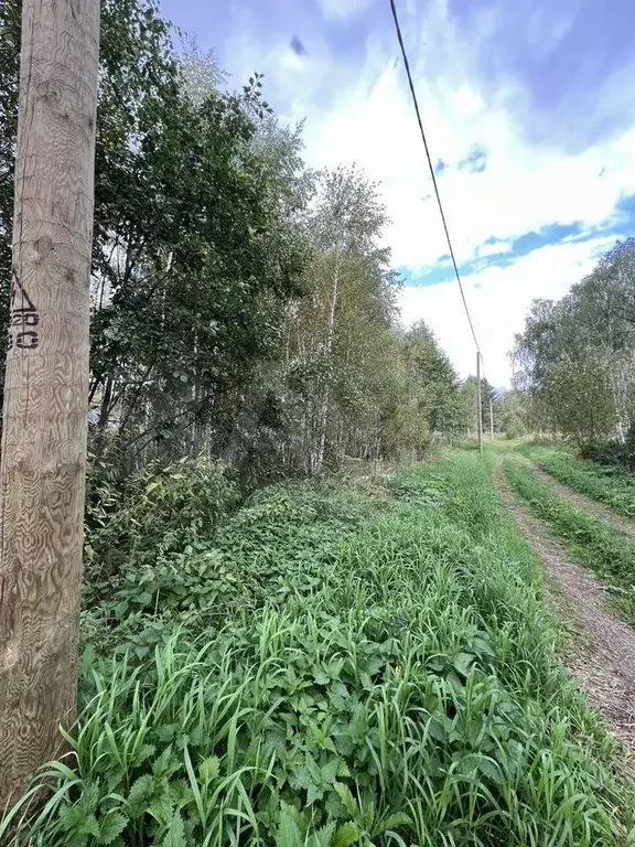 Участок 10 сот. (СНТ, ДНП) - Фото 1