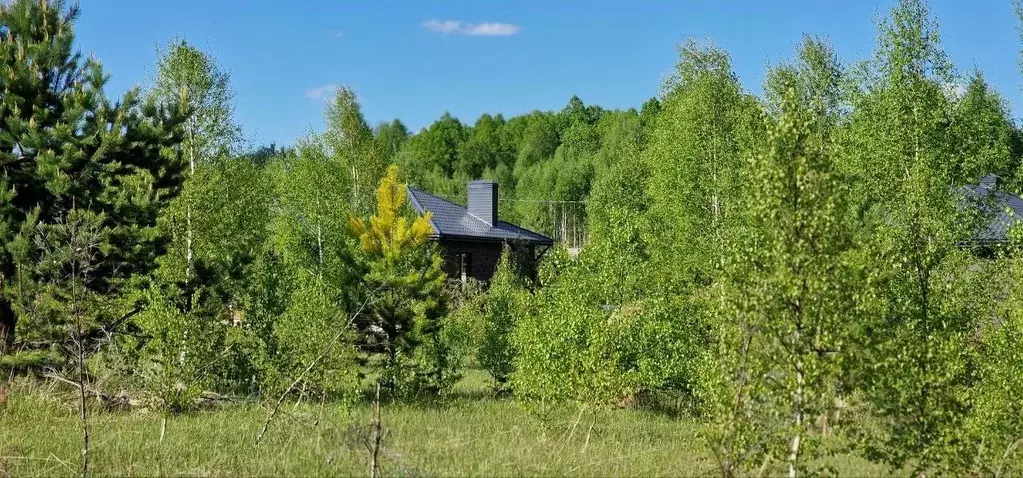 Участок в Татарстан, Лаишевский район, с. Сокуры, Новые Сокуры- 3 кп  ... - Фото 2